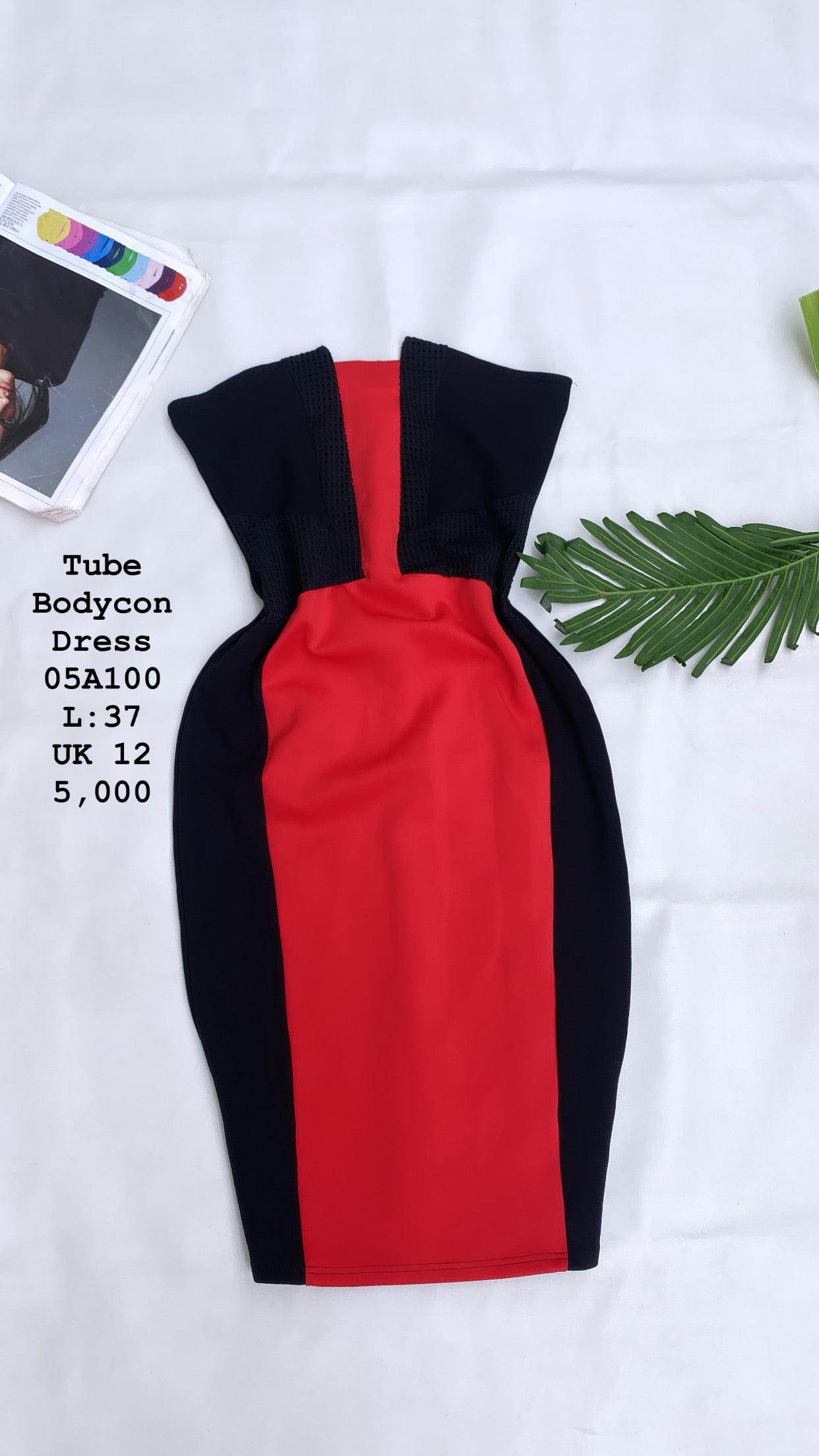 Tube Bodycon Dress
