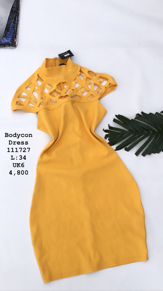 Mustard Bodycon dress