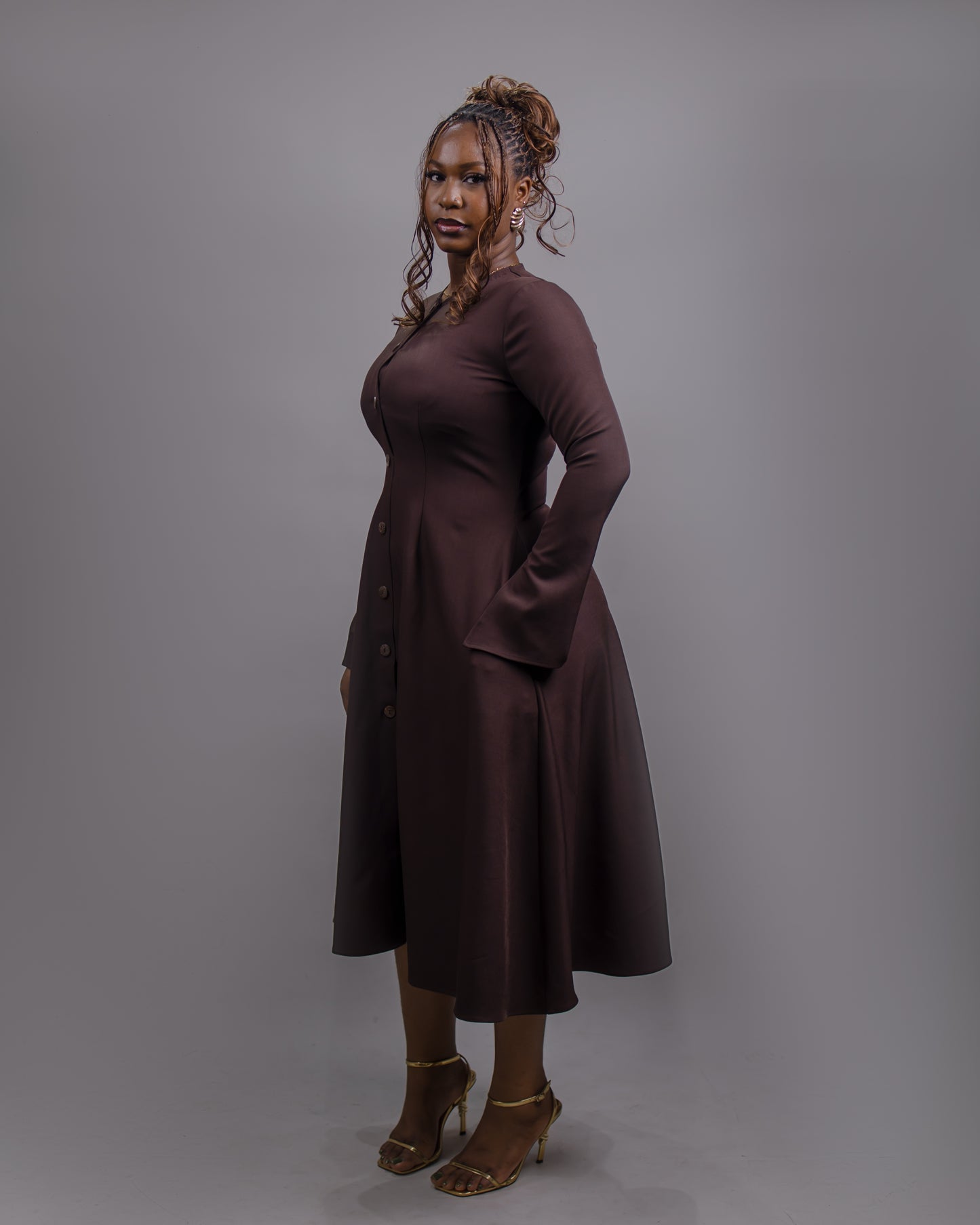 Elle Button Down Long Sleeve Midi Dress (Brown)