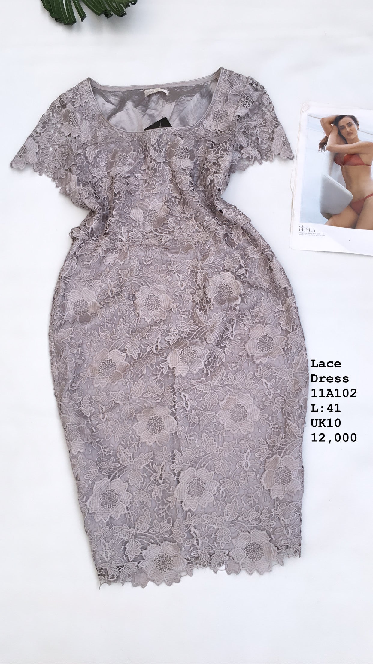 Lace Dress