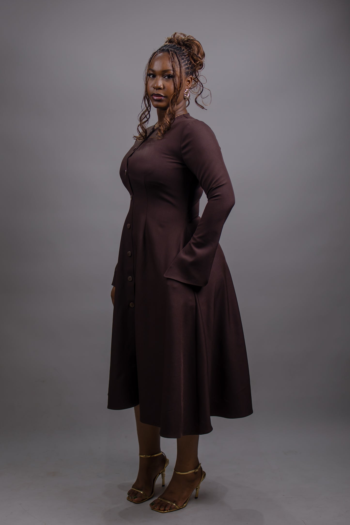 Button Down Long Sleeve Midi Dress (Brown)
