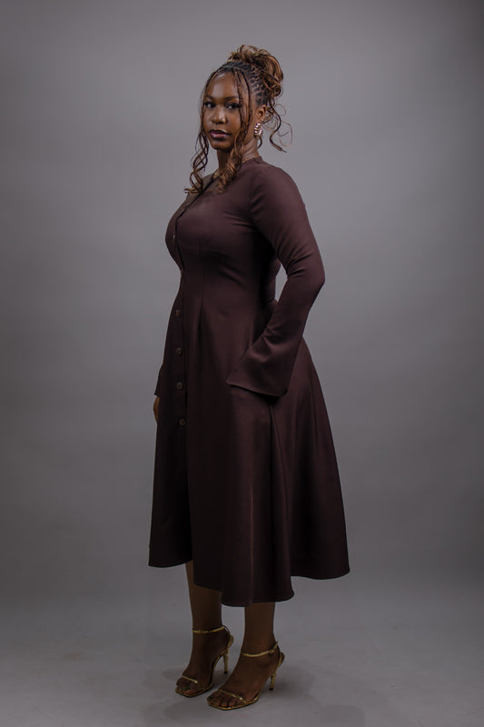 Button Down Long Sleeve Midi Dress (Brown)