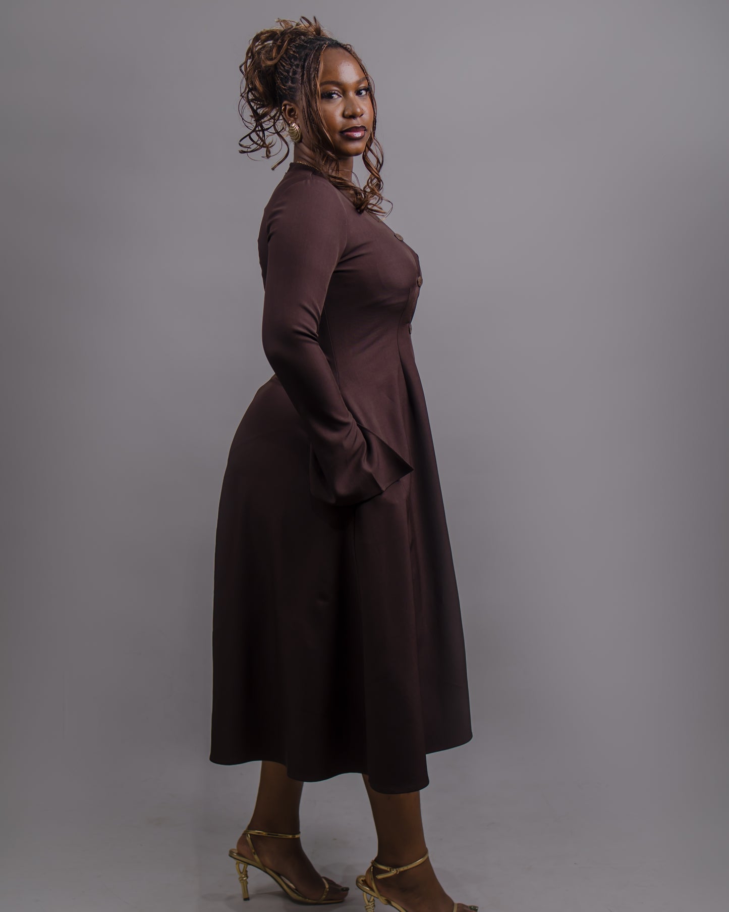 Elle Button Down Long Sleeve Midi Dress (Brown)